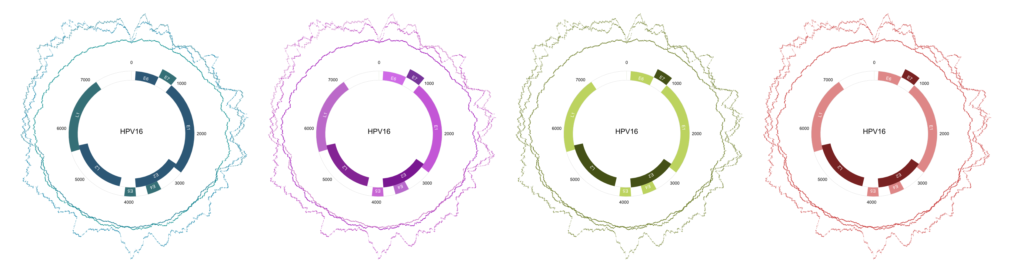 HPV16 Coverage Plots