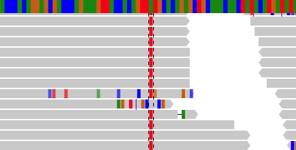 PHAT Output SNP pileup